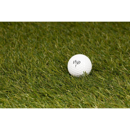 48 Recycled and Used Vice Golf Balls, Mixed Models