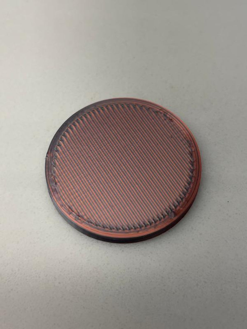 Morbidly a Beast Disc Golf Mini